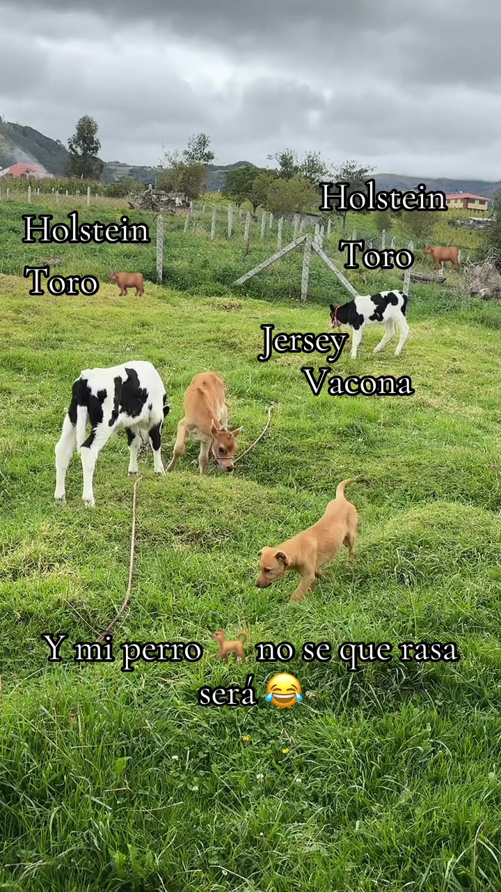 @🥭/Luis🫡Guam&aacute;n🫶\🍀