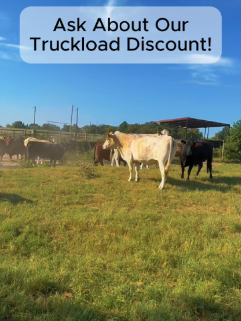 @Rutherford Land and Cattle