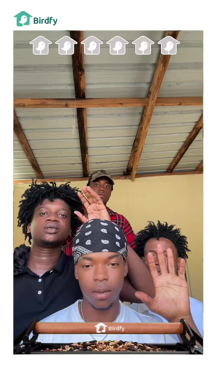 @IDM koral peyi a🤣