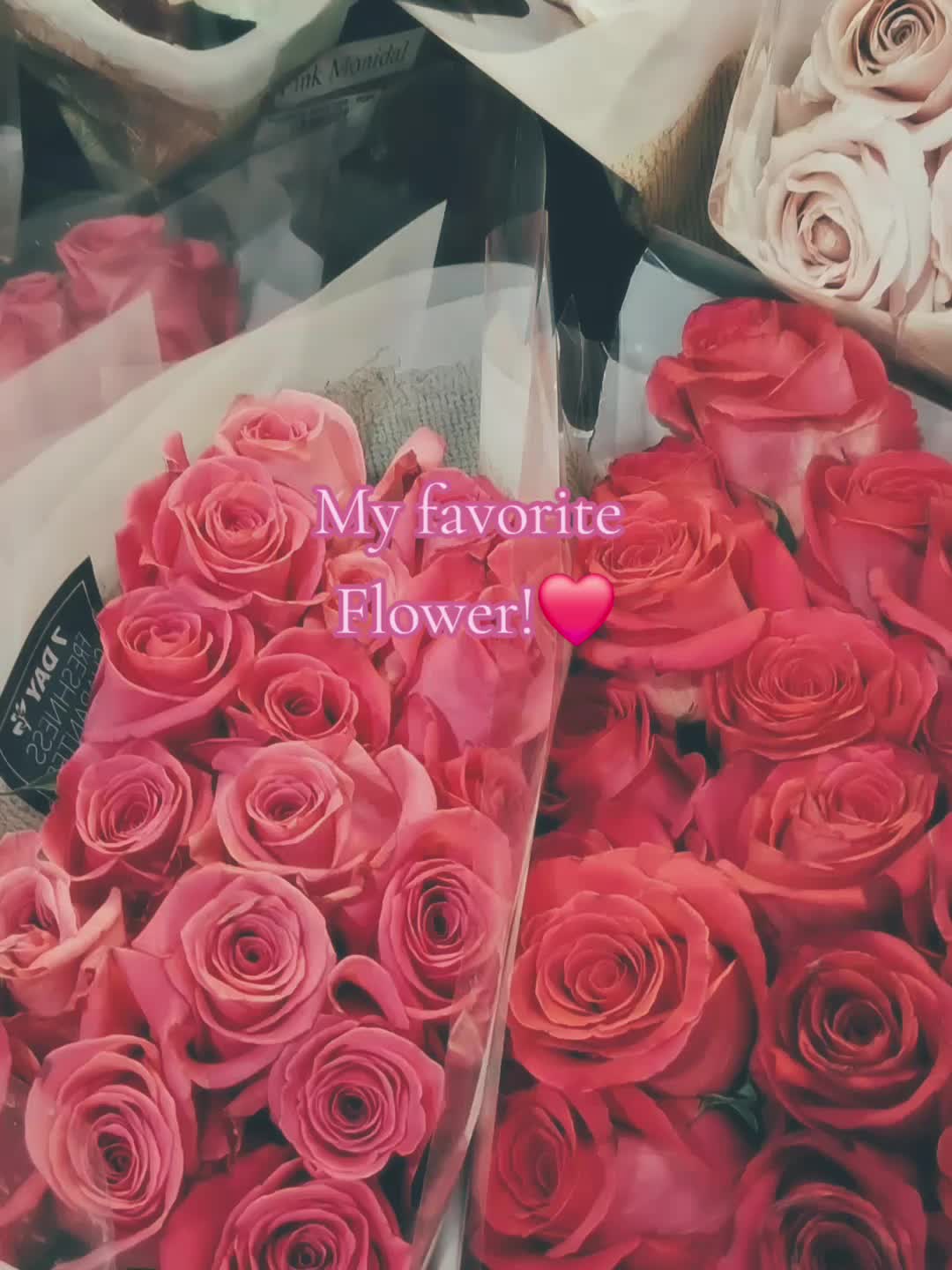 @🎀Serena Munoz🎀🧁