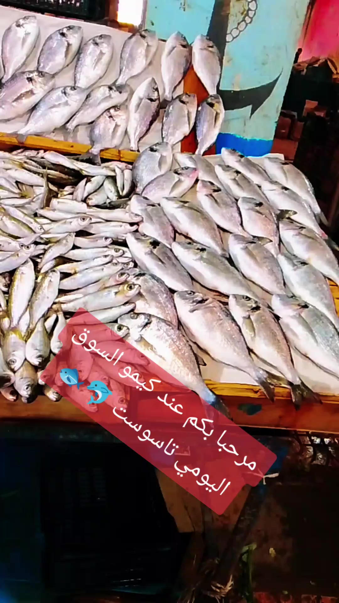 @Kimo Chelighem