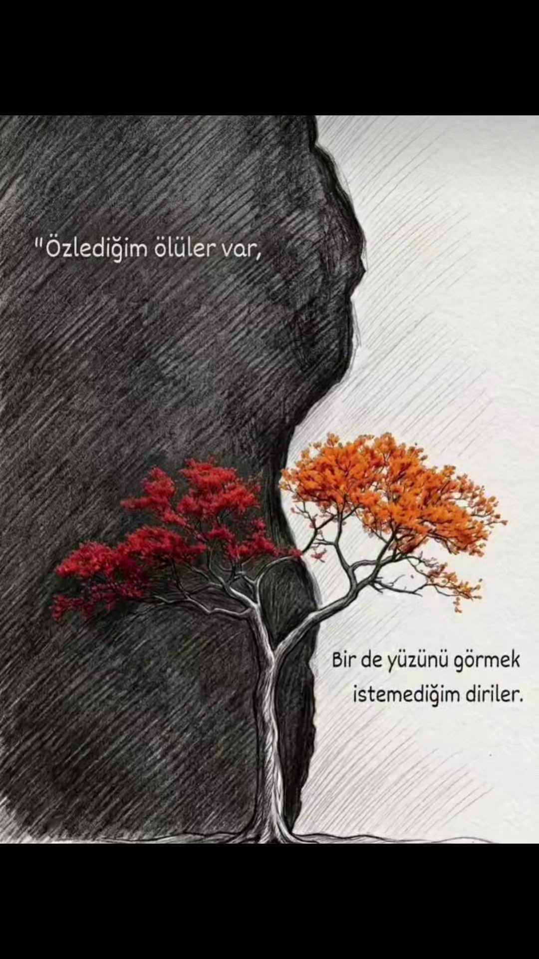 @Rəsul Dərviş