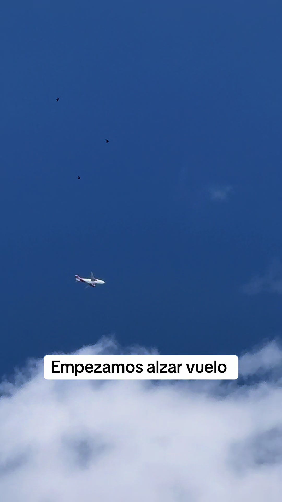 @Marlonsorto