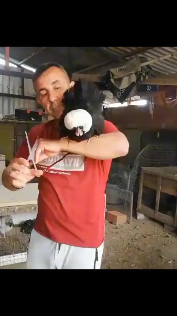 @kamil