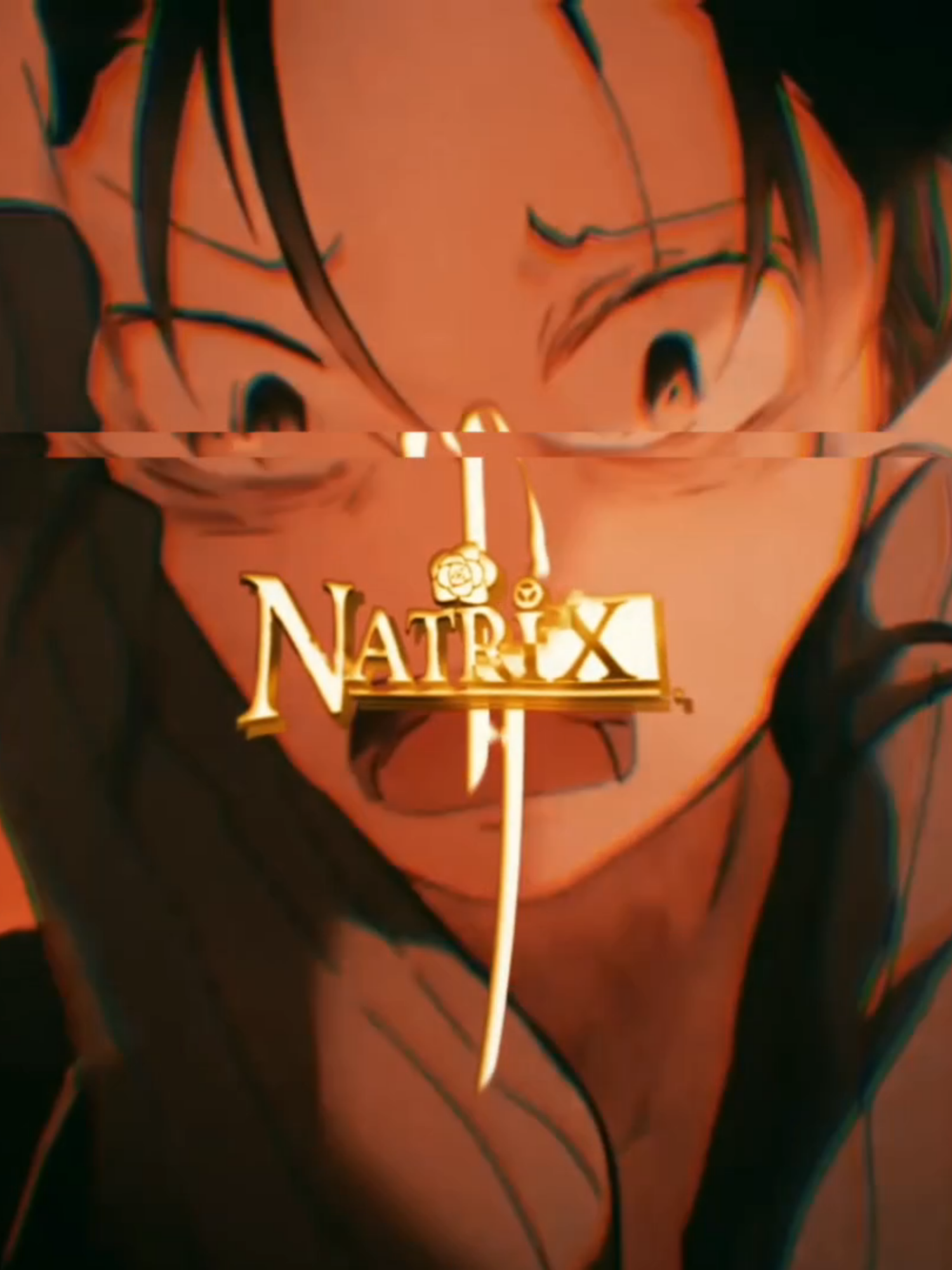 @Natrixing平和