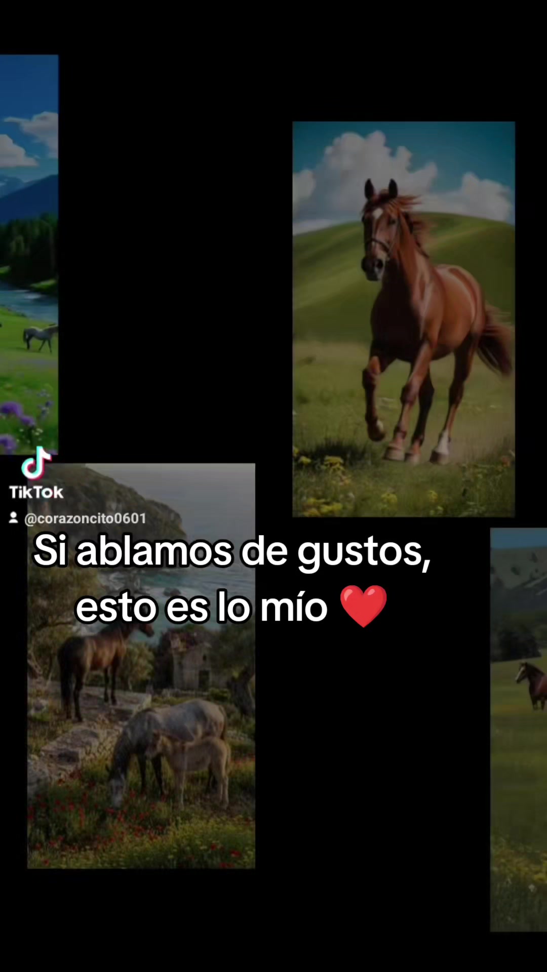 @Dalia Vicente Hernández