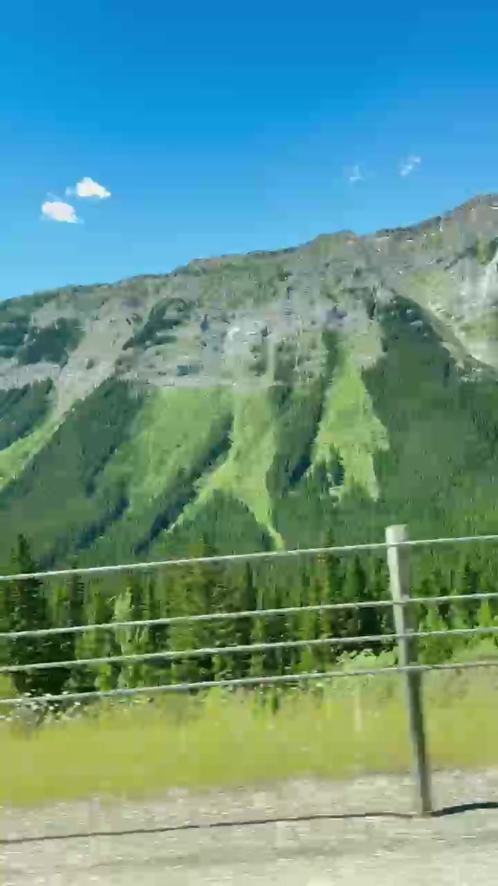 @Mursal