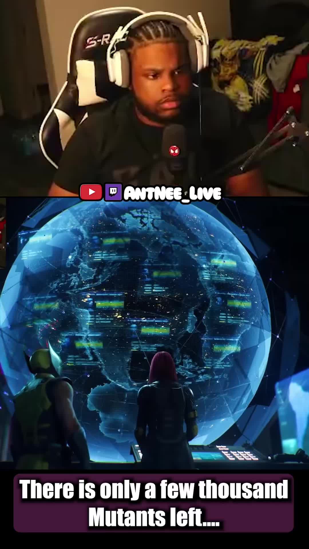 @AntNee Live