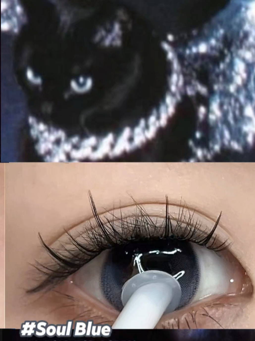 @sigocontacts_official
