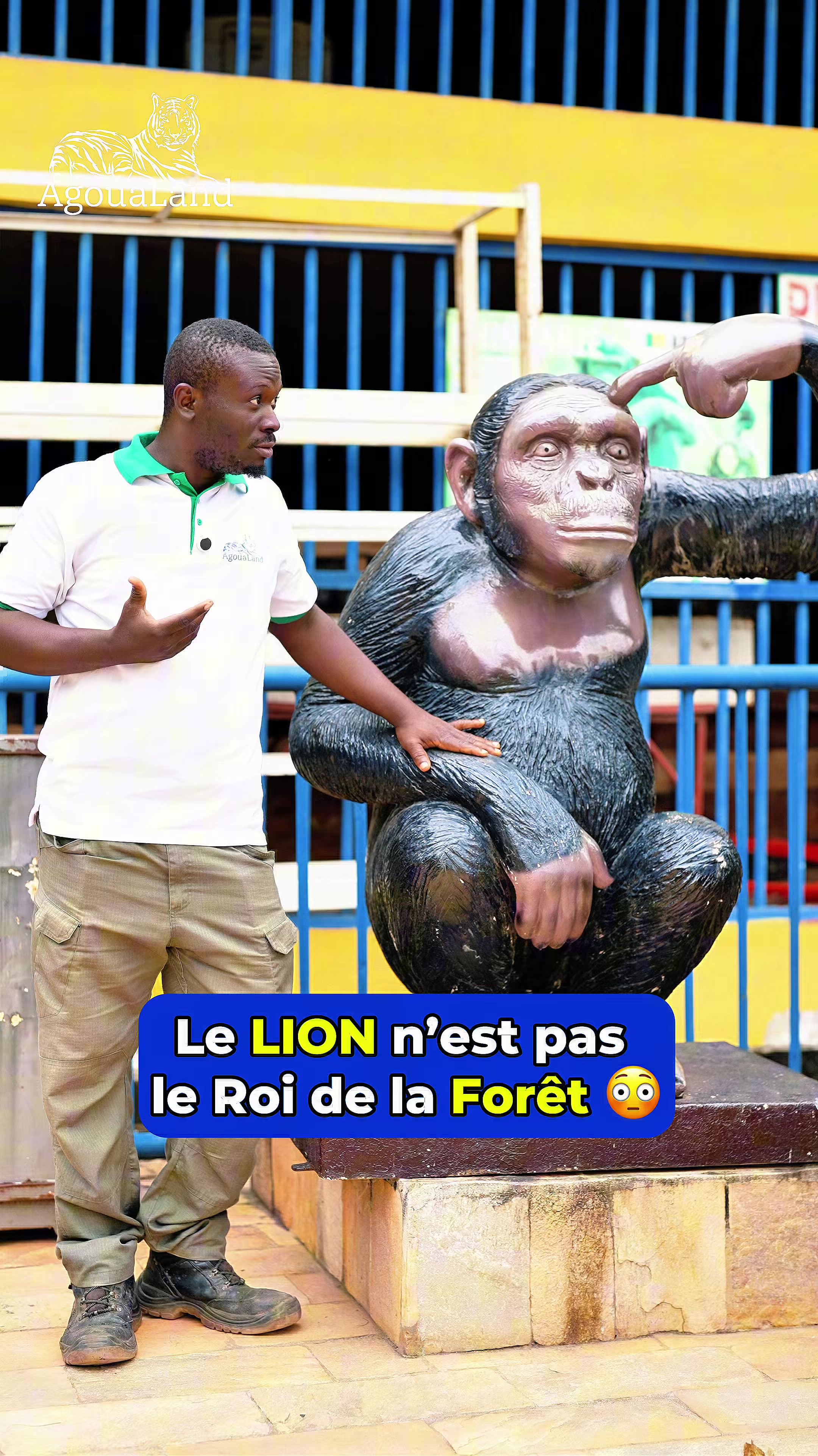@Général Alain Kenneth 🥇🥈🥉
