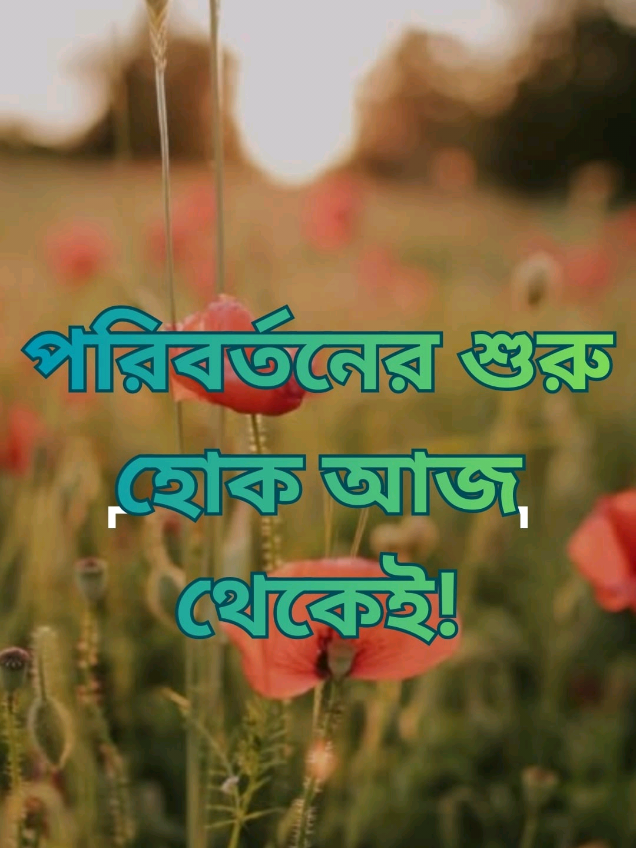 @Afroja Khatun