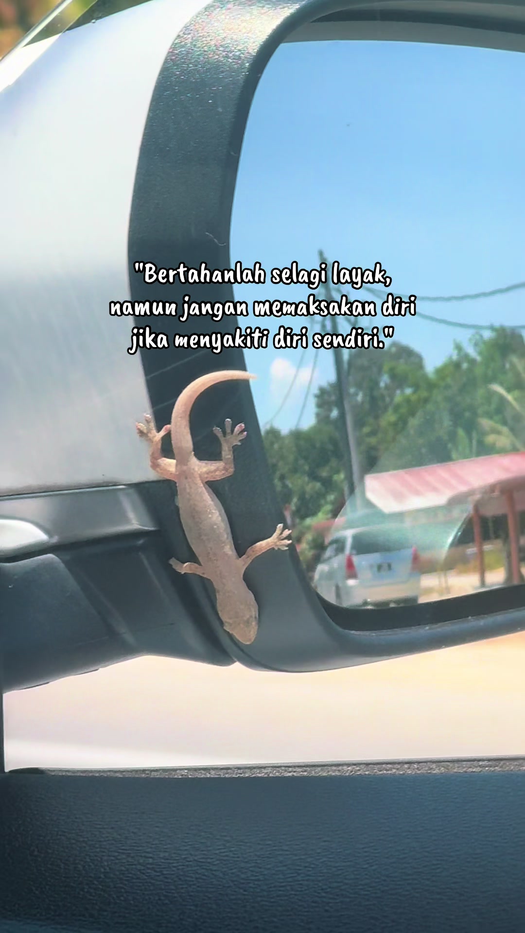 @Muna Azmi