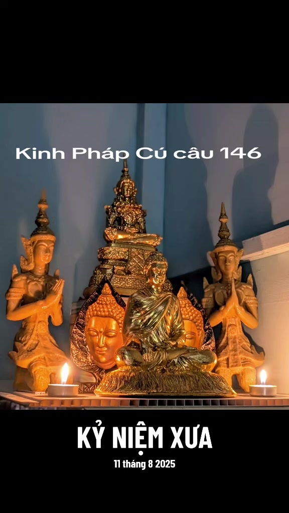 @TK Bảo Ân