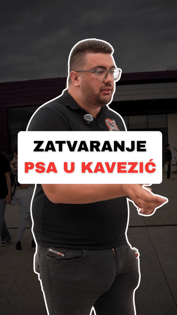 @superdog.akademija