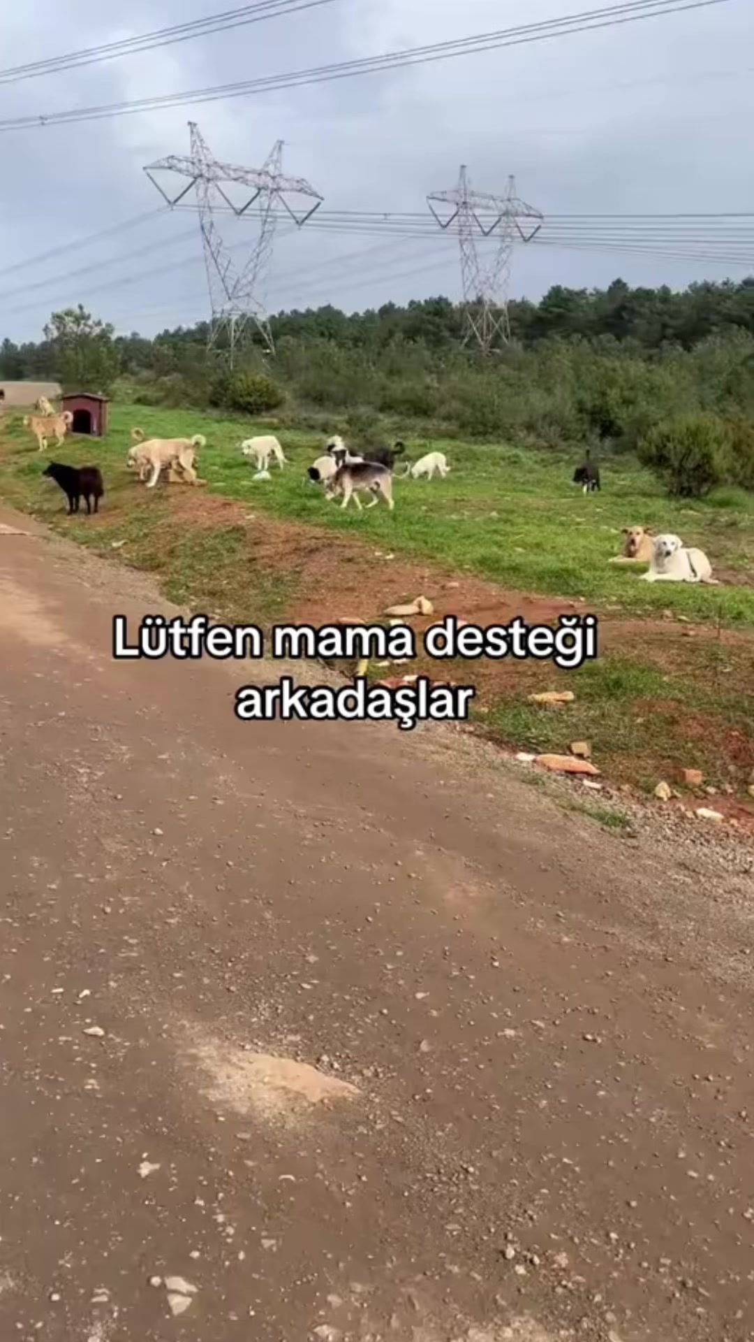 @Gönül Özcanlı