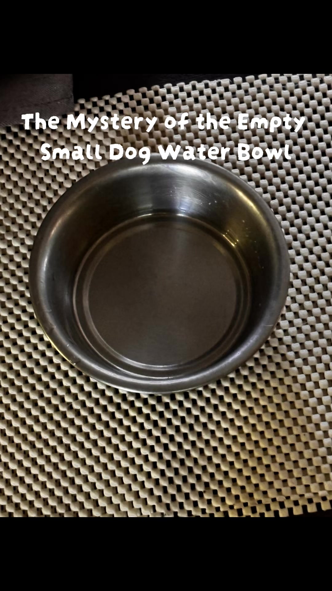 @LittleDog&Bogie