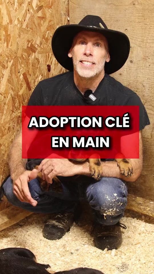 @Cowboy