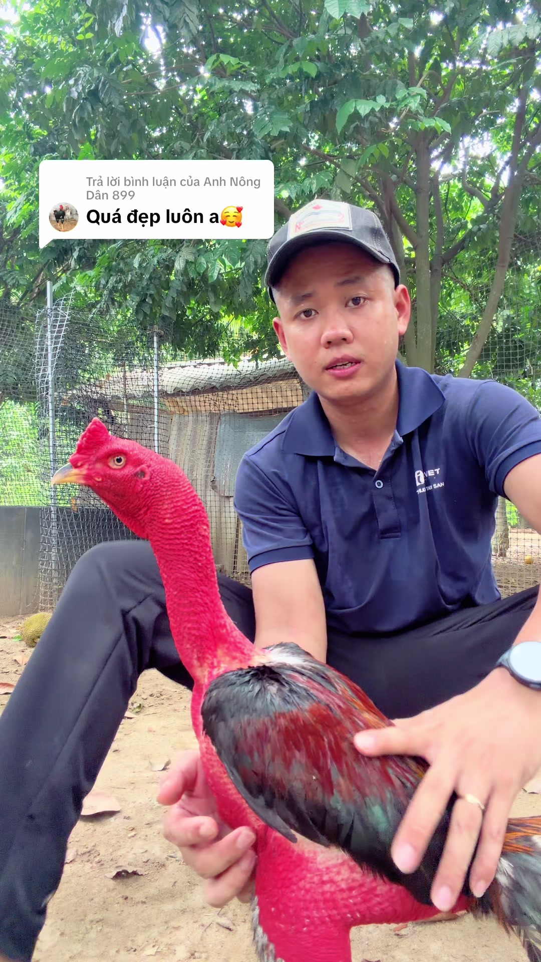 @Quyền Ba Vì