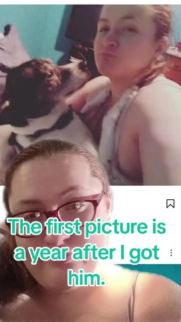 @CrystalOhiodogmom