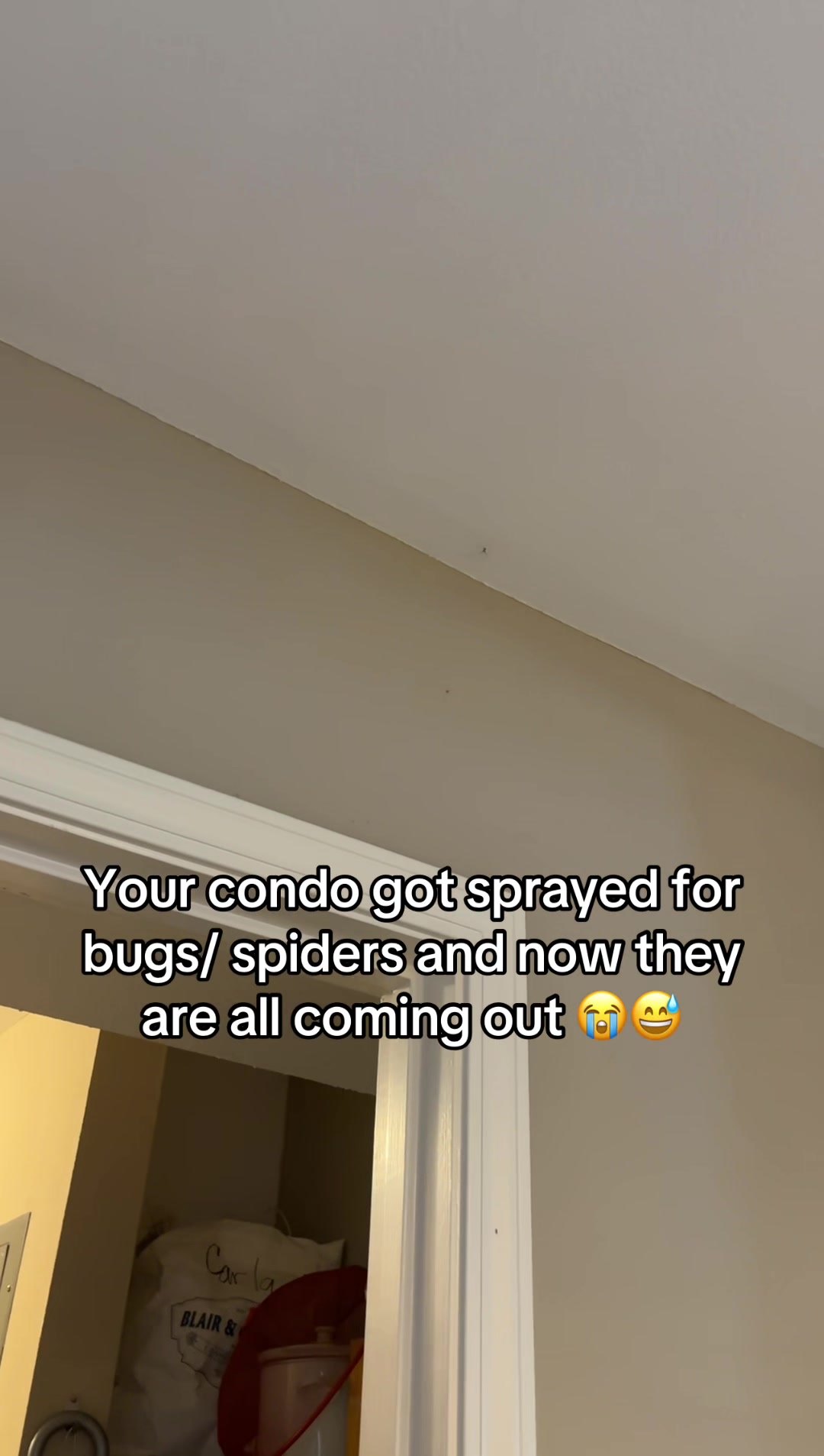 @cardiographywithindya