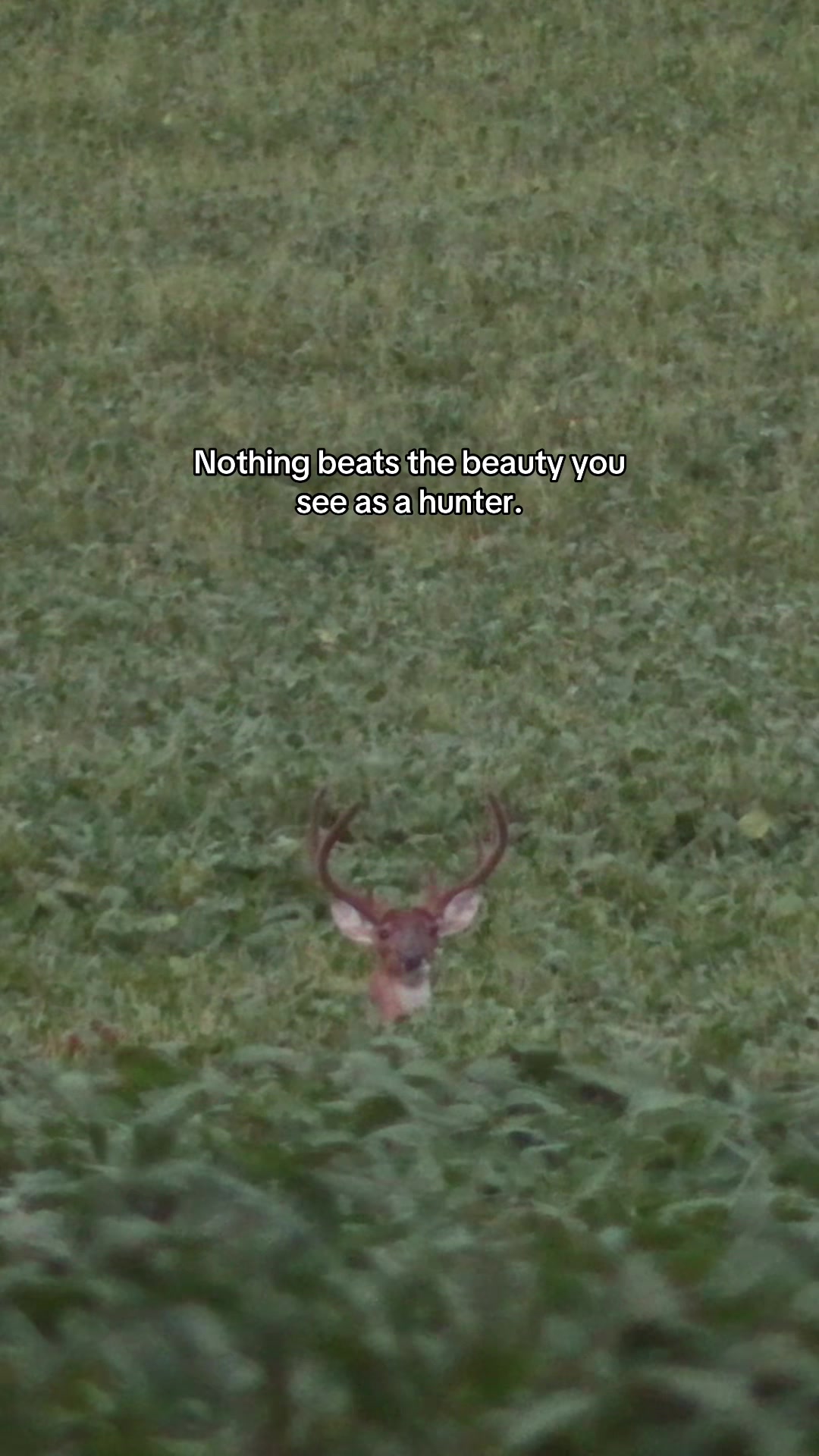@Southeastern Outdoors