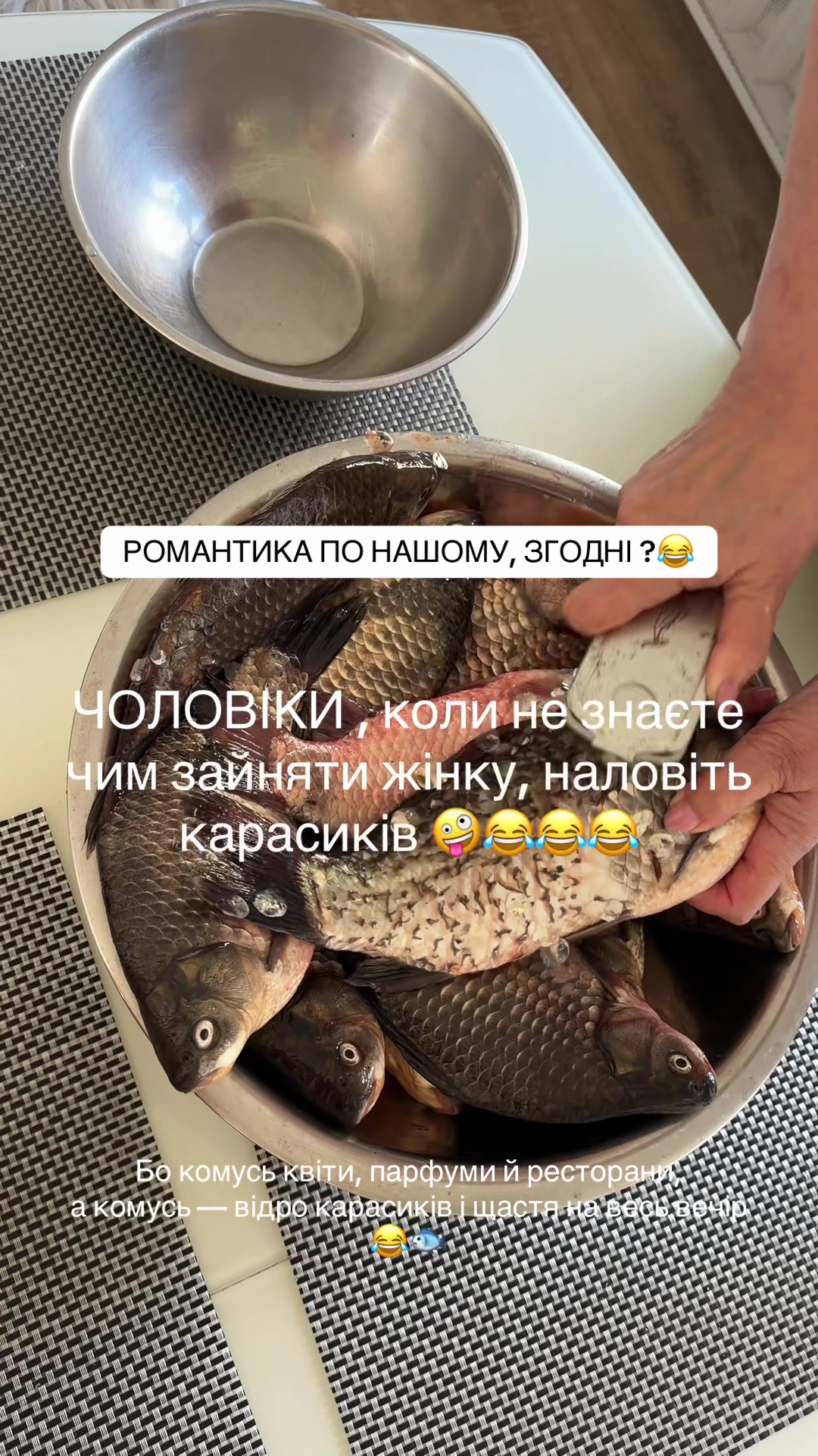 @Ksusha