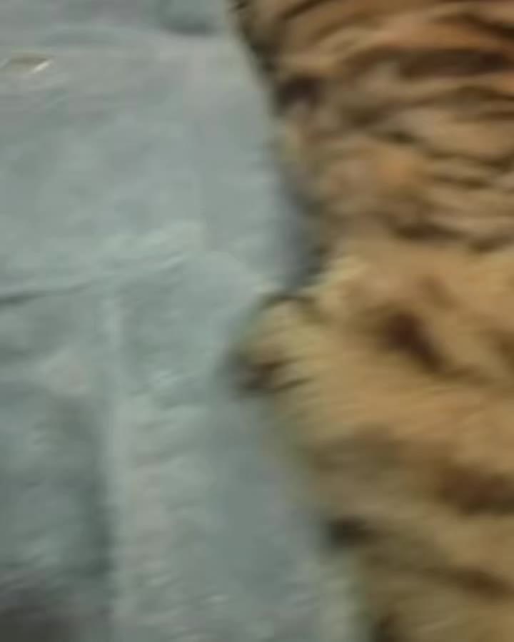 @𝑒