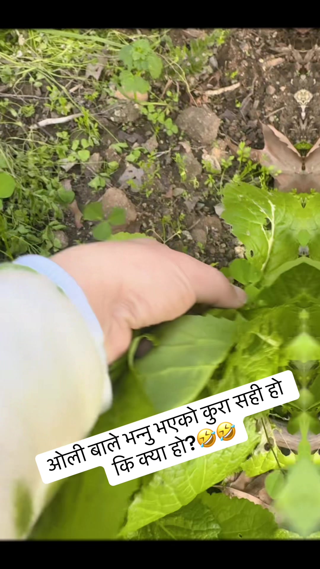 @Ajita