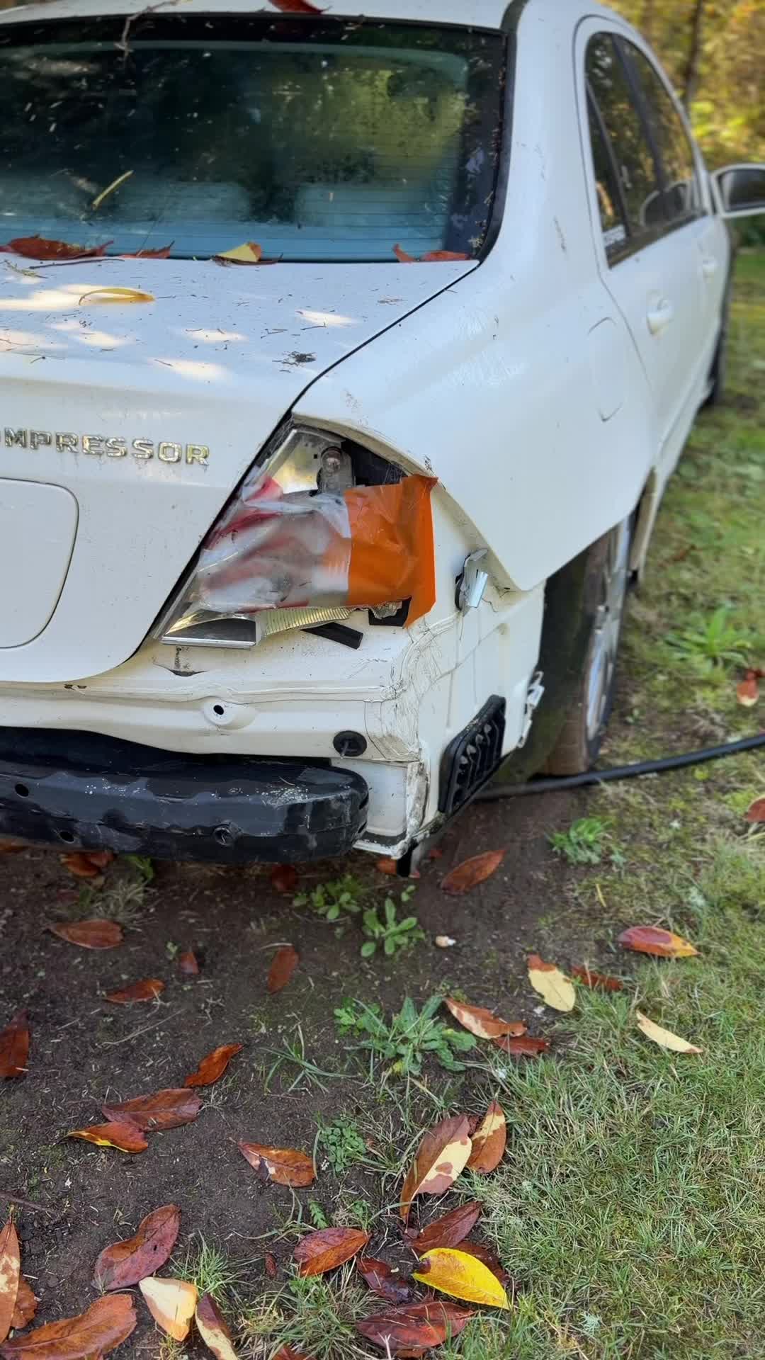 @_TraeBui