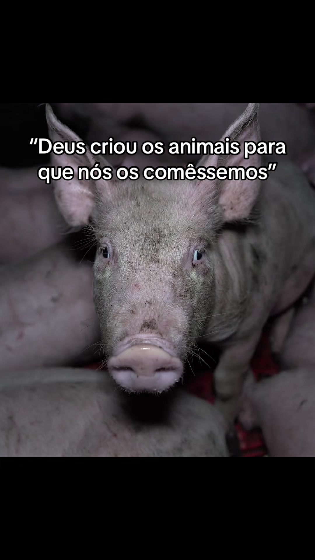 @Carne é cruel
