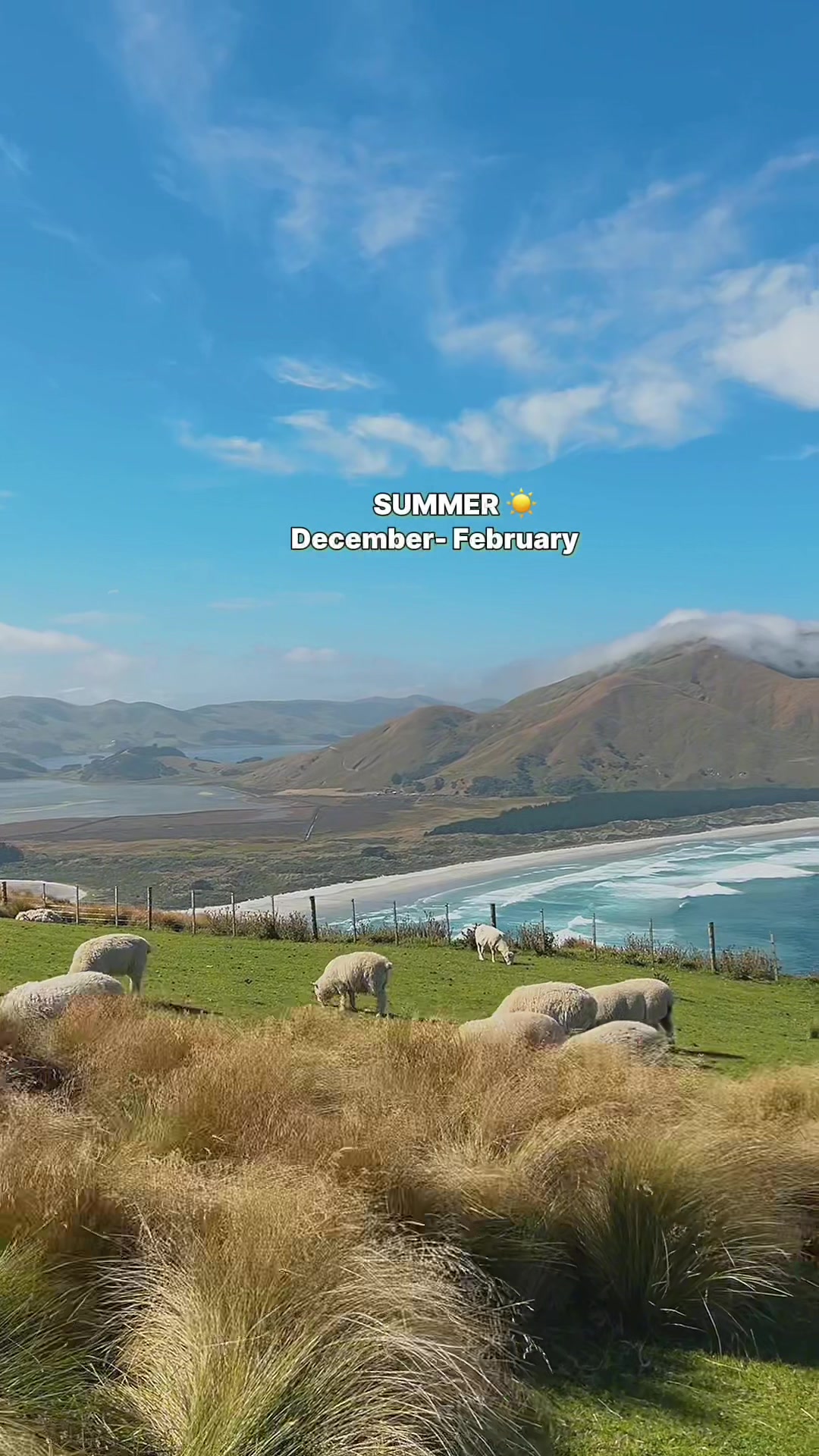 @Aian in New Zealand 🇵🇭🇳🇿