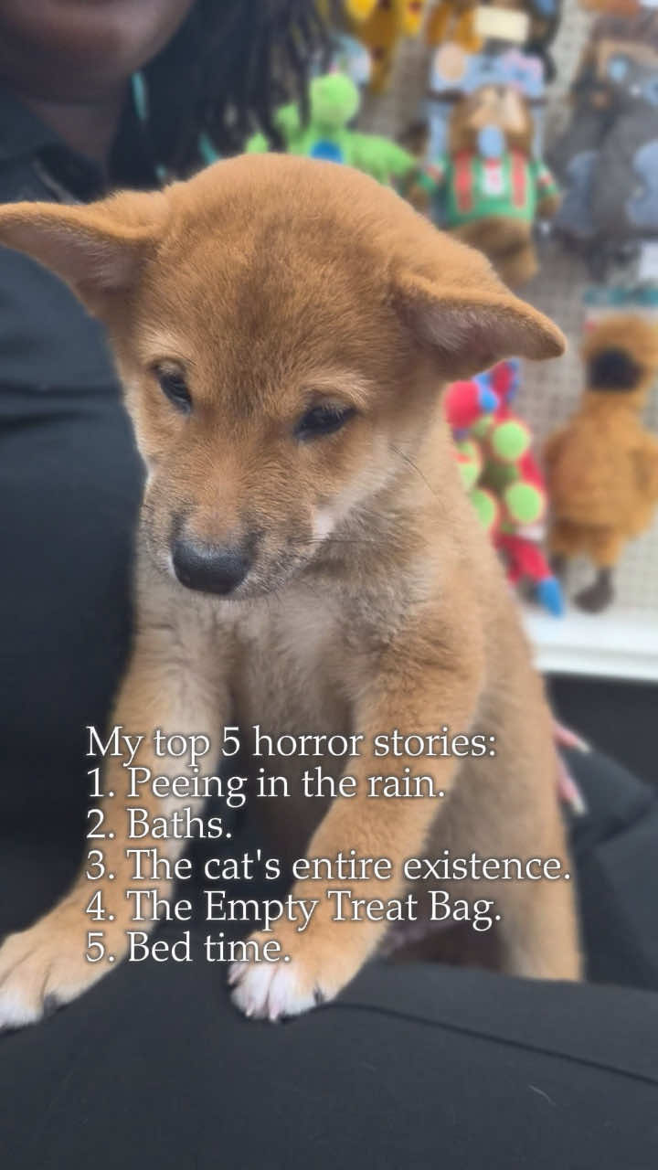 @Petland Oklahoma City