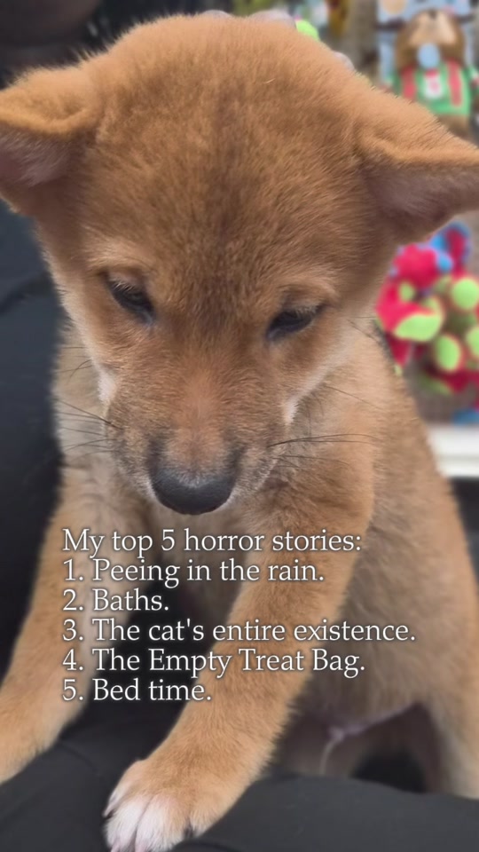 @Petland Oklahoma City