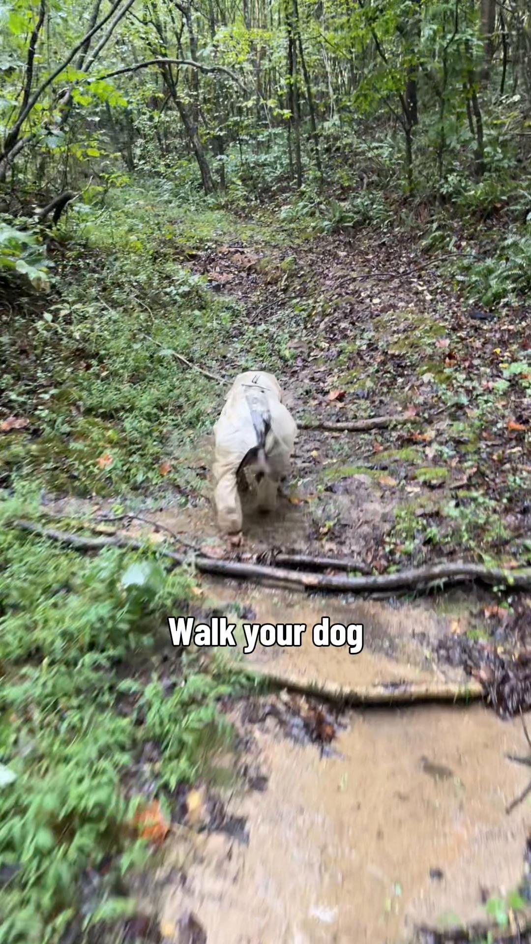 @AJ