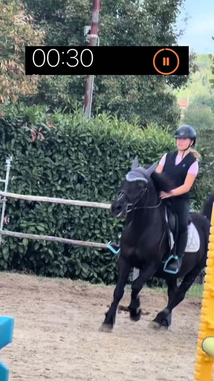 @🖤𝓖𝓲𝓷𝓮&𝓡𝓮𝓭🖤