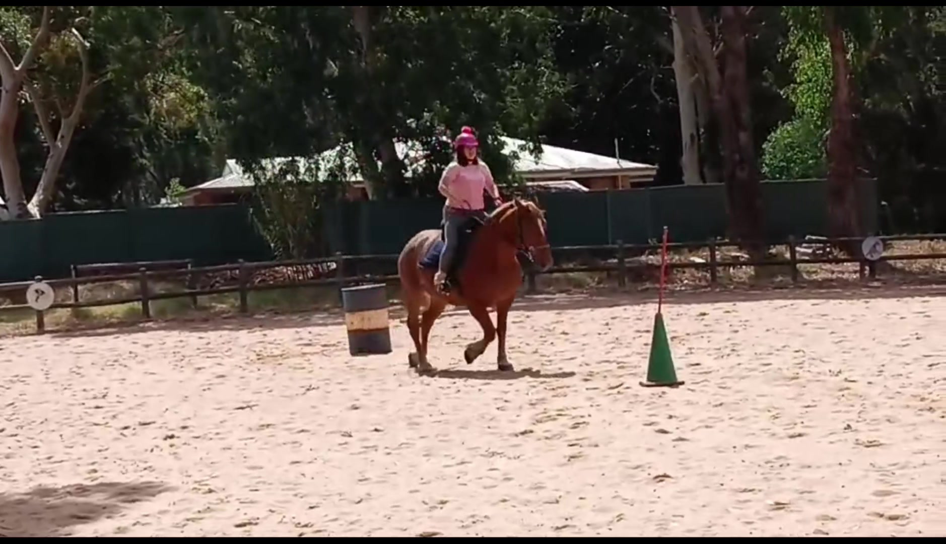 @sian_charlies_horsey_