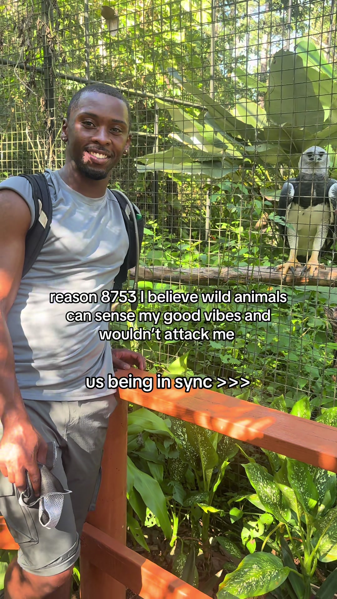@Johns Jungle