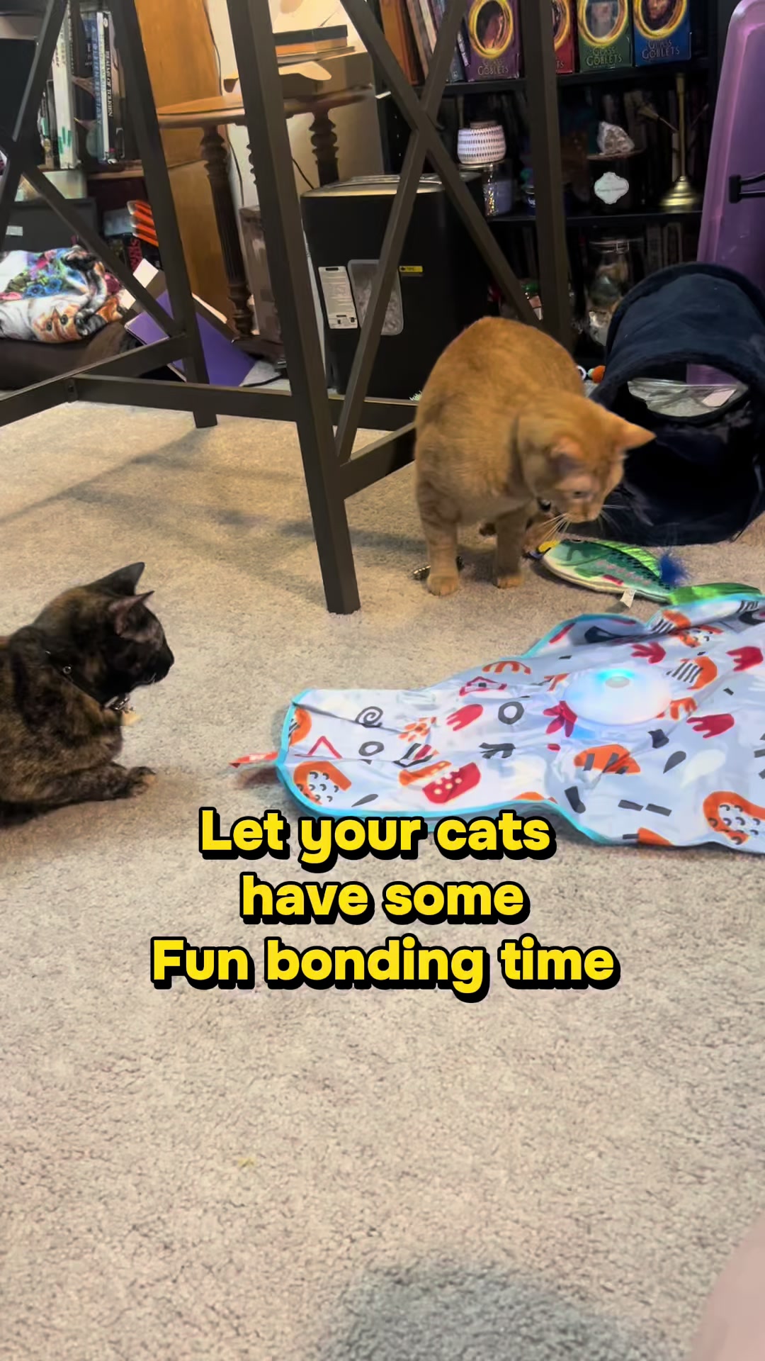 @Bella’s cats & hedgehog deals