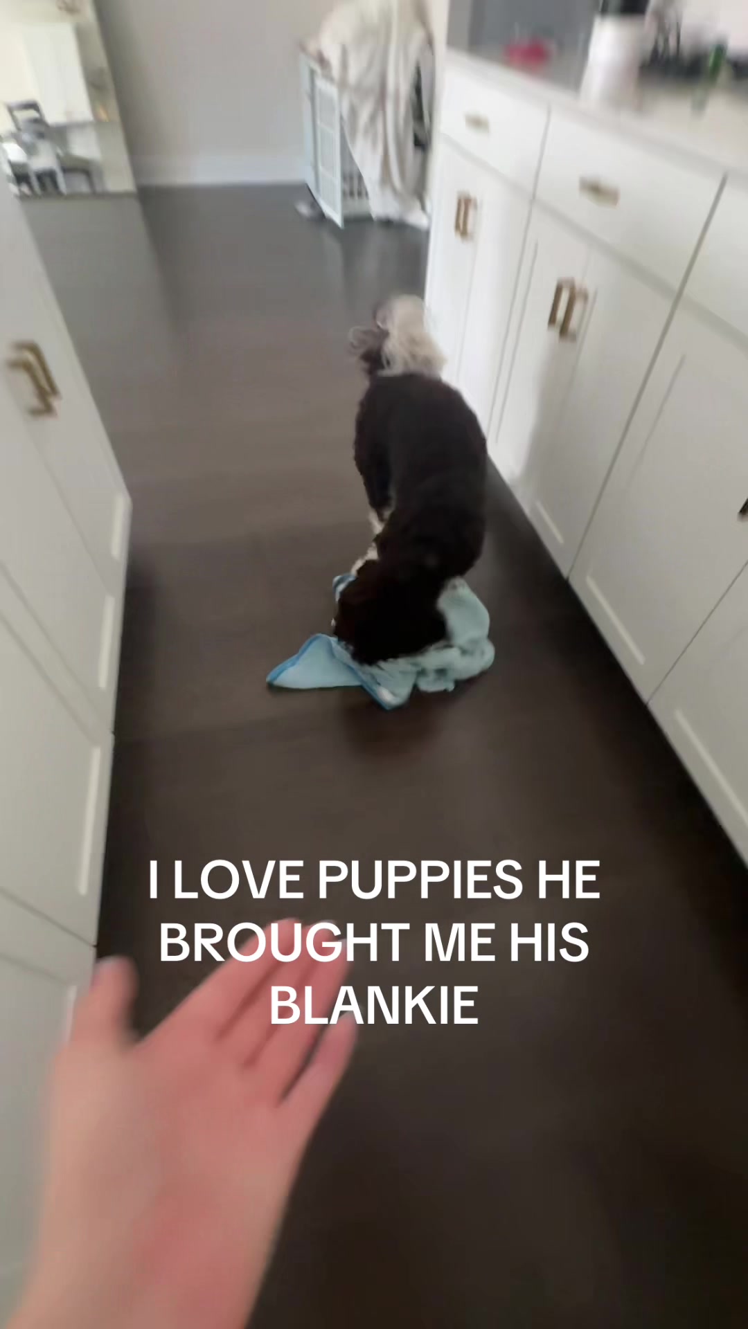@lindsey ⋆˚꩜。