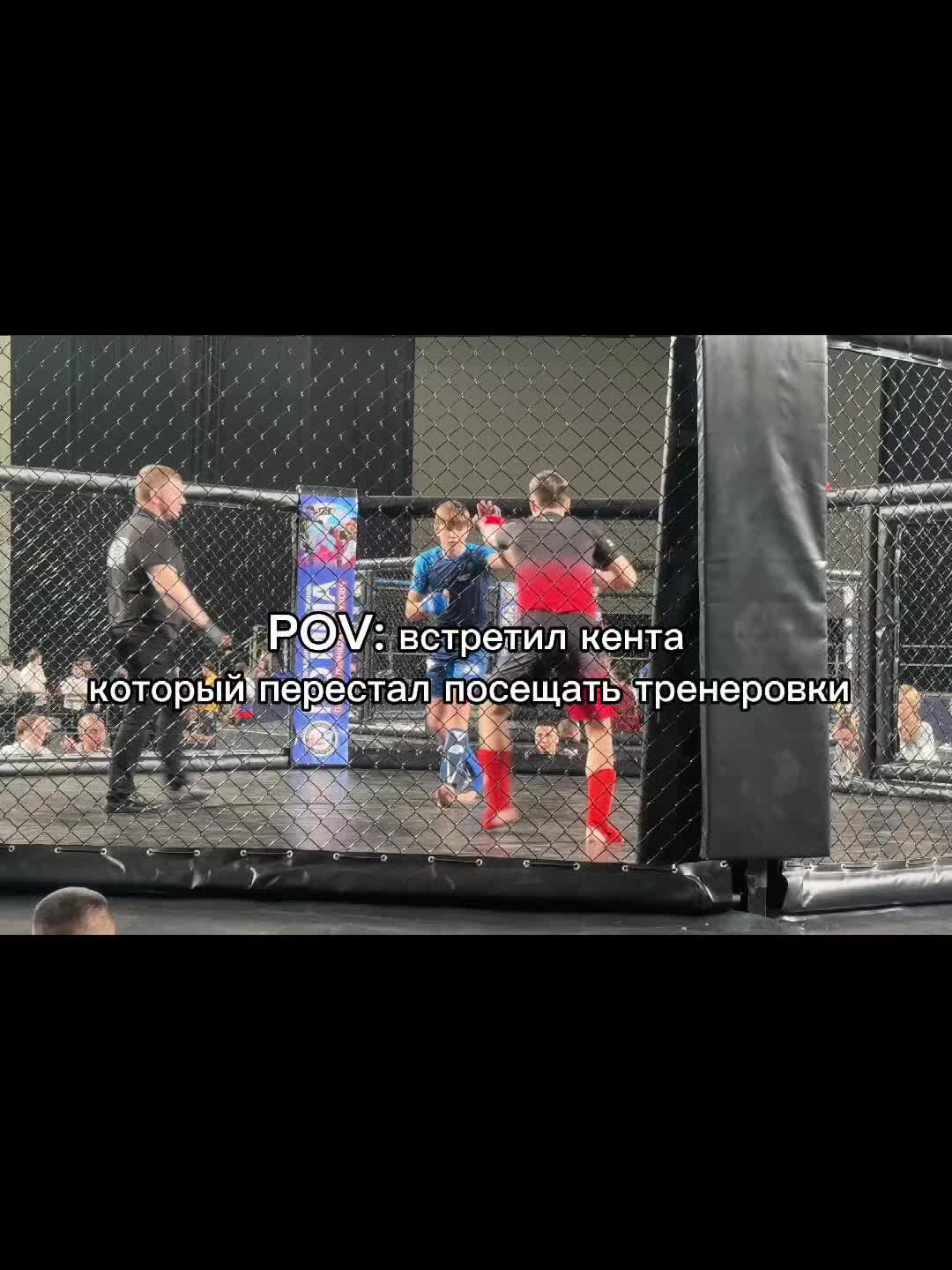 @🥊🤼