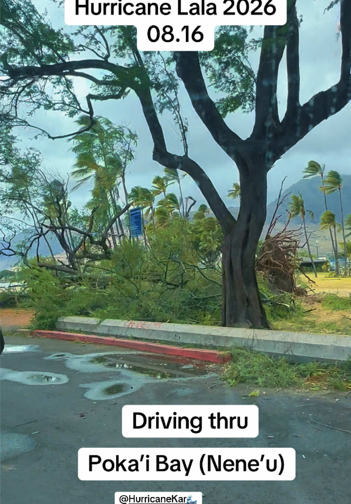 @Tsunami🌊Trin✨