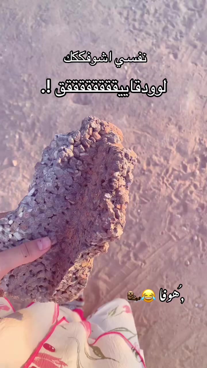 @﮼هوفا 𐙚❣️