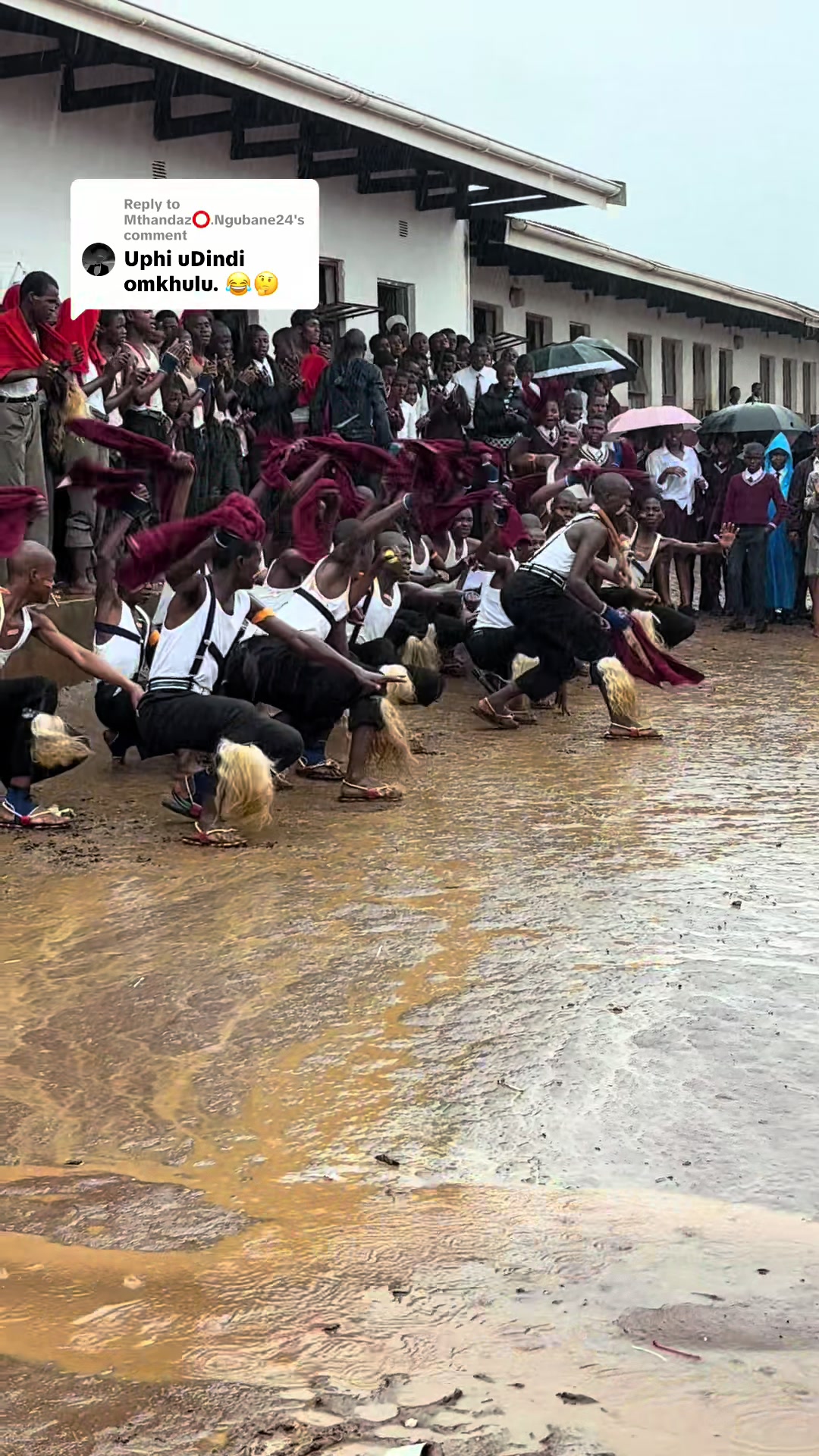 @Mbali Zamakhuba Mpungose