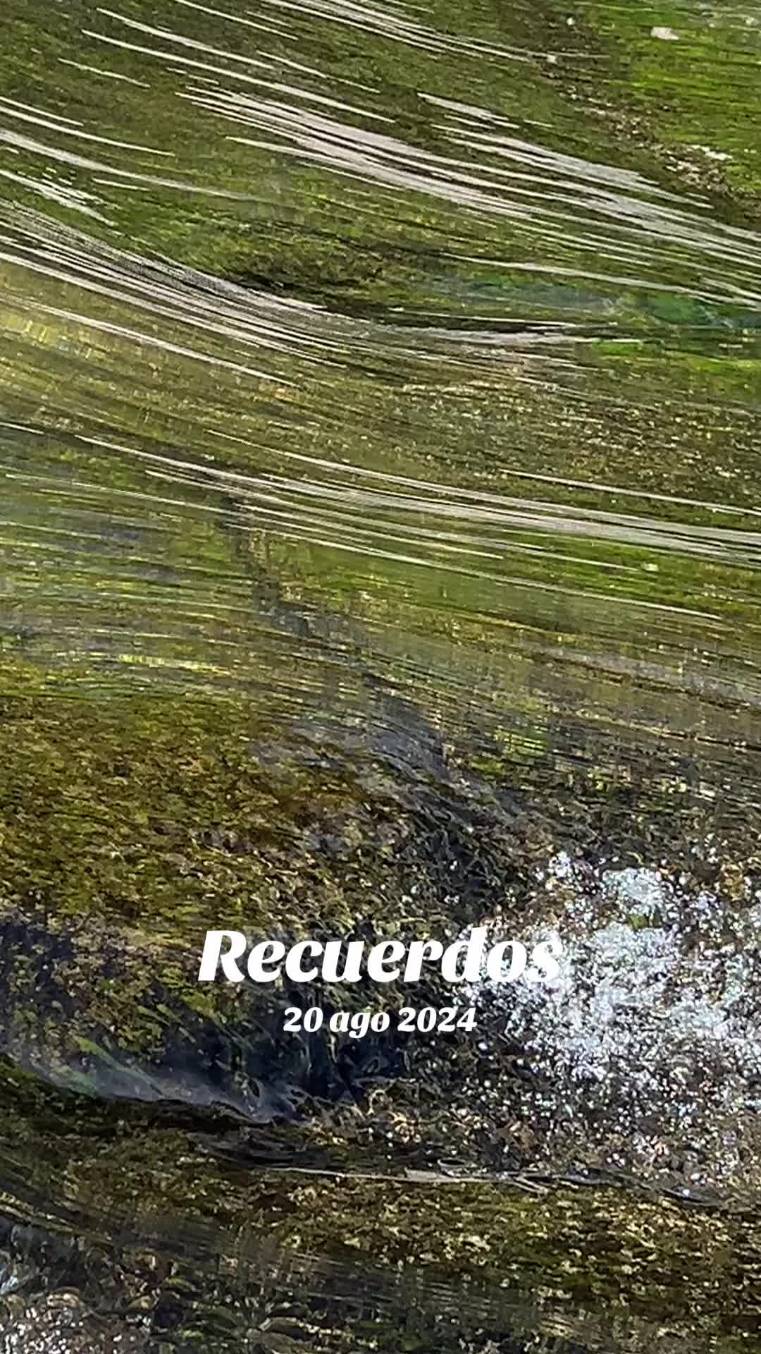 @deivis12
