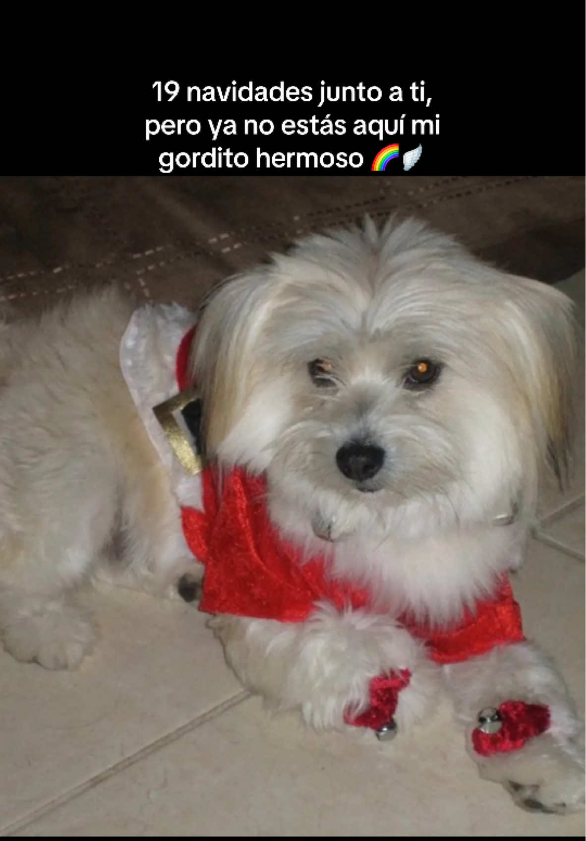 @Debbie Nohemy 🇬🇹