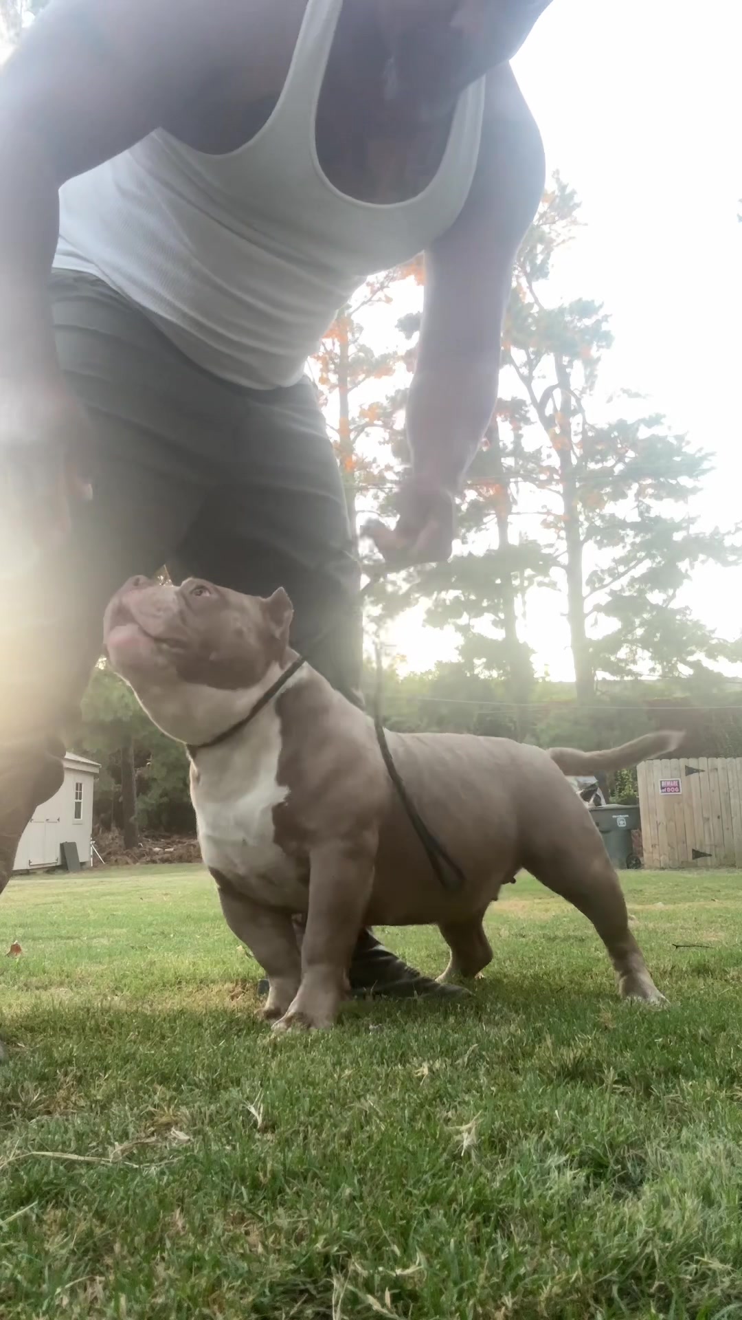 @Carters BullyHub