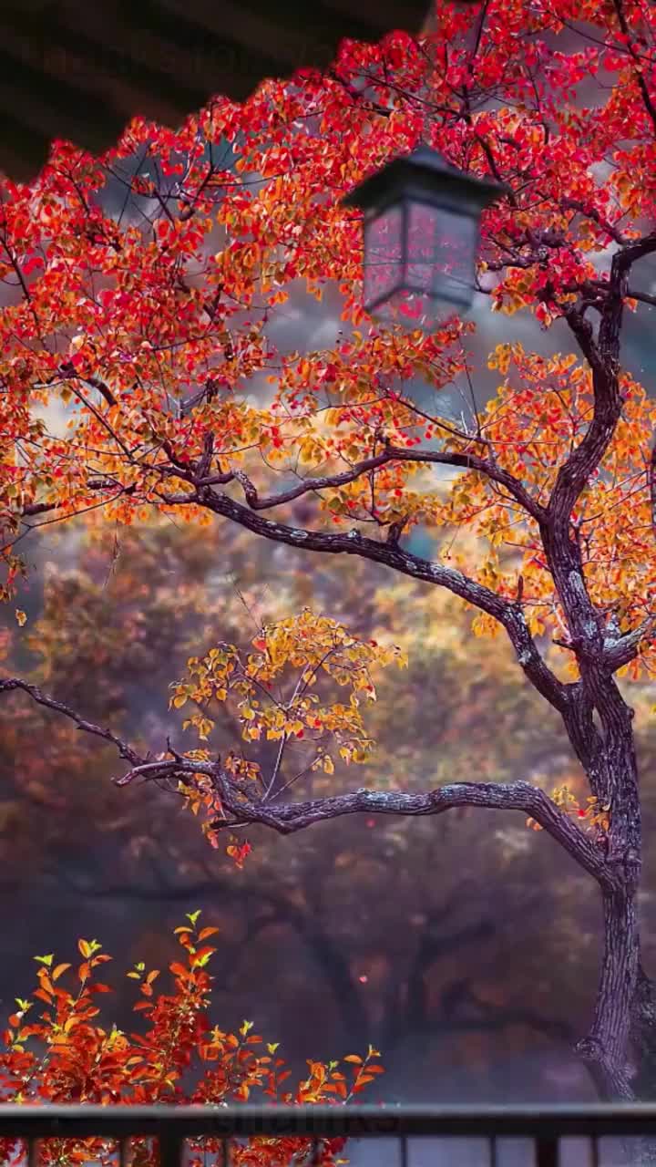 @marvinchen2b71