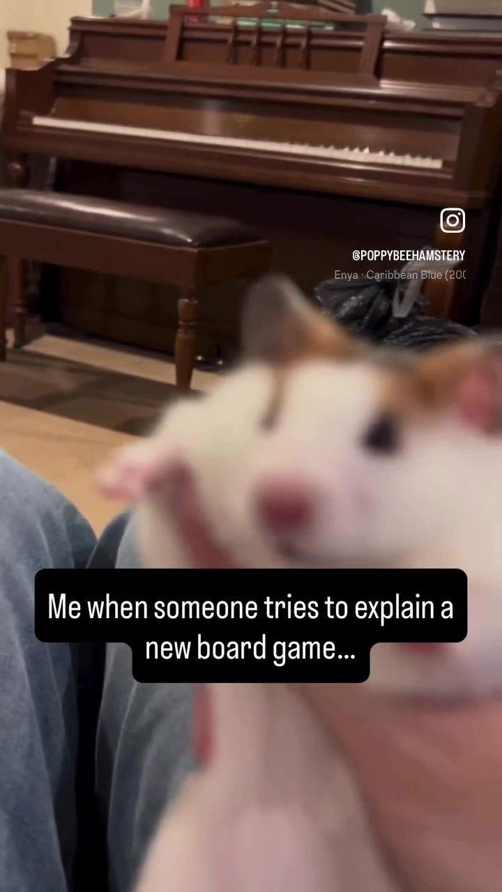 @Poppy Bee Hamstery