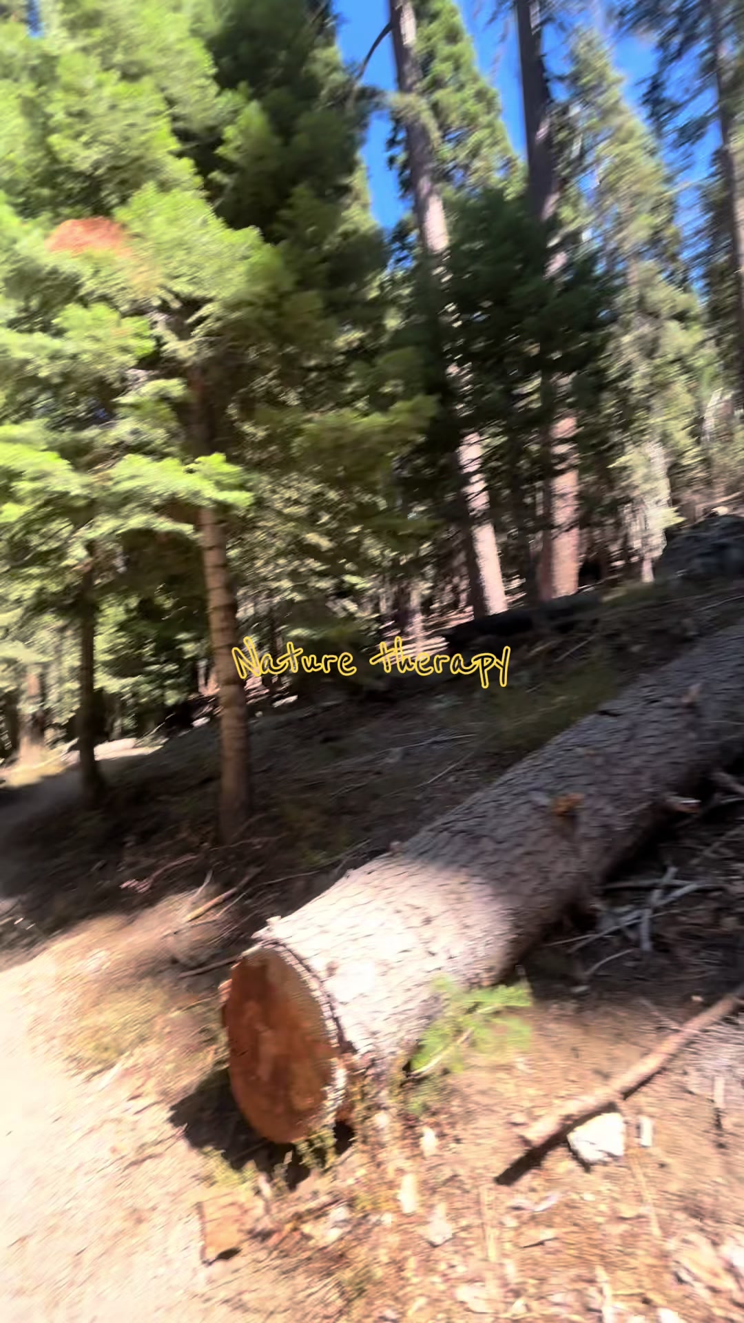 @Lex