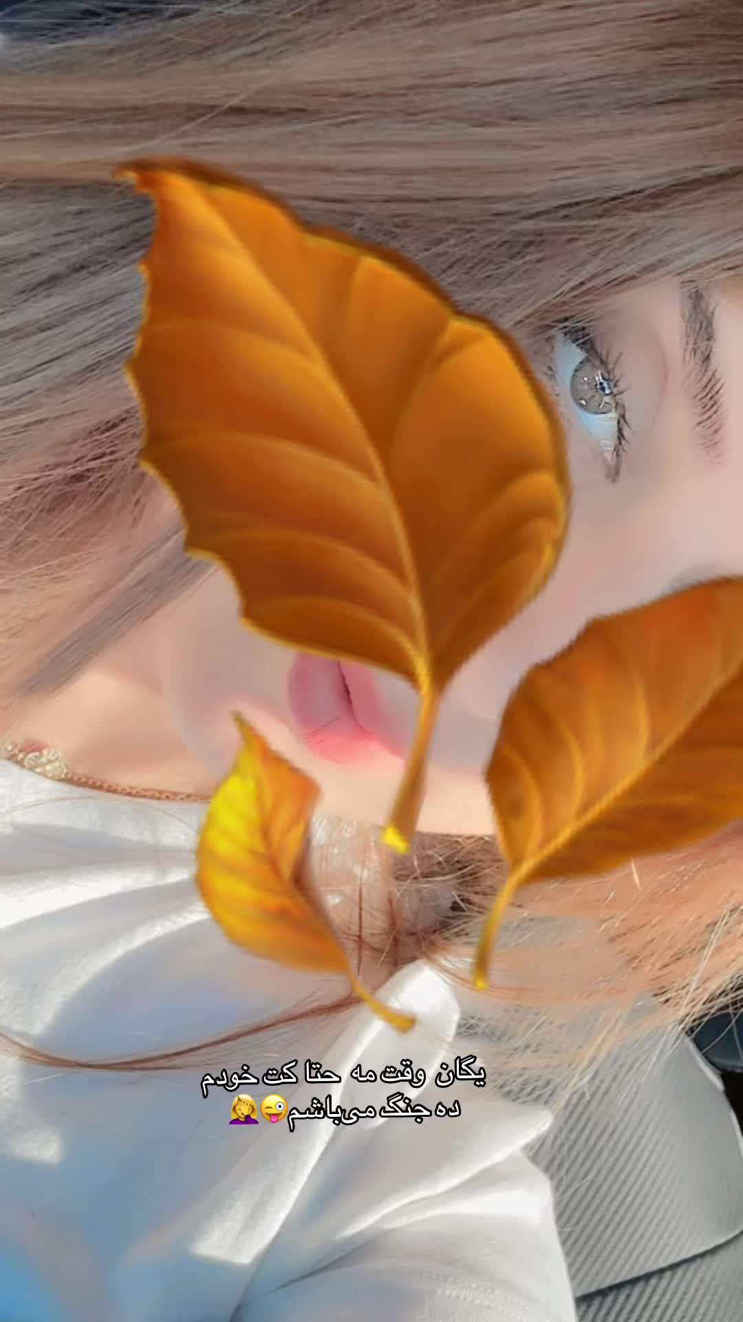 @🎀«پیشوگک»🎀